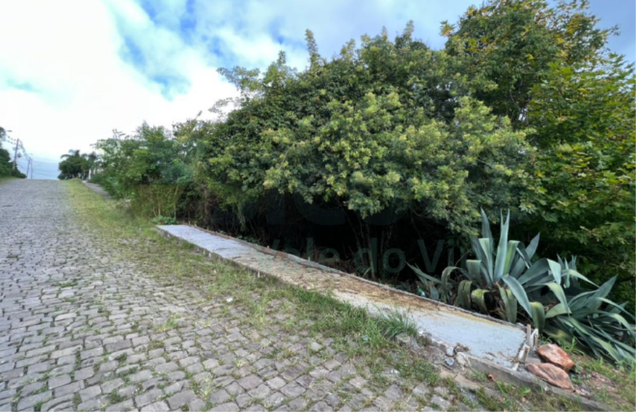 008 TERRENO URBANO com área total de 376,63m² — foto 4