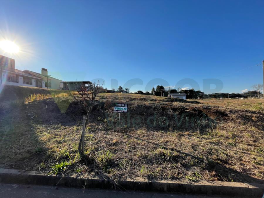 111 TERRENO - Loteamento Residencial João e Silvia Salvador — foto 5