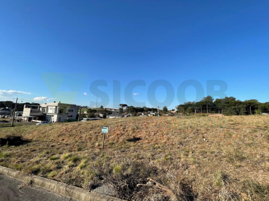 112 TERRENO - Loteamento Residencial João e Silvia Salvador — foto 4