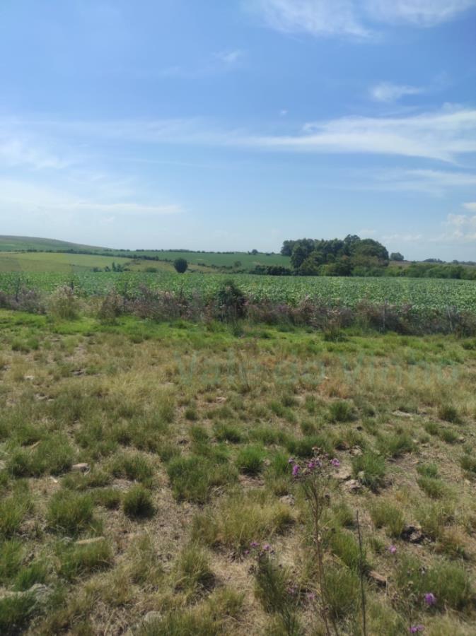 1 TERRENO RURAL com área total de 12,500 ha