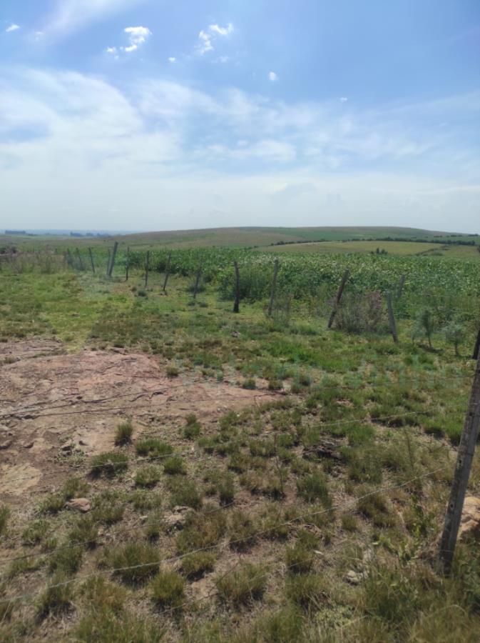 1 TERRENO RURAL com área total de 12,500 ha — foto 2