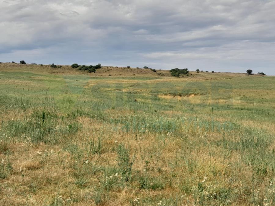 1 TERRENO RURAL com área total de 97,390 ha