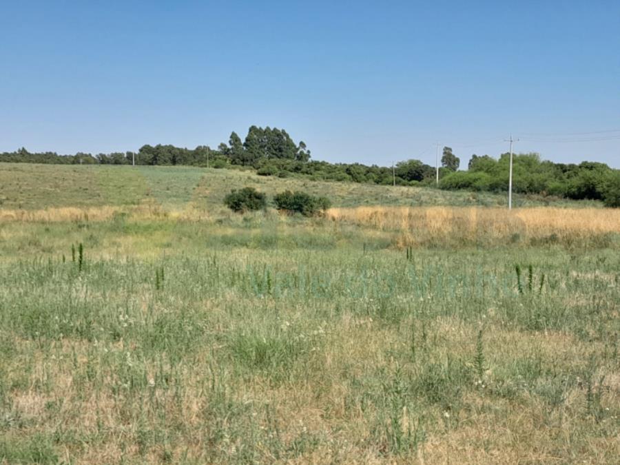 1 TERRENO RURAL com área total de 97,390 ha — foto 3