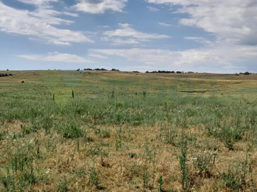 1 TERRENO RURAL com área total de 97,390 ha — foto 4