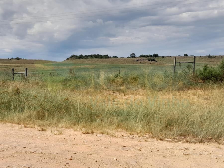1 TERRENO RURAL com área total de 97,390 ha — foto 5