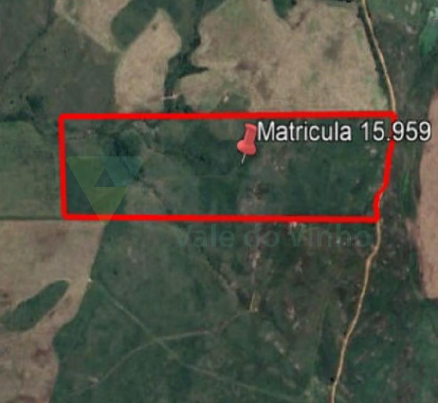 1 TERRENO RURAL com área total de 12,500 ha