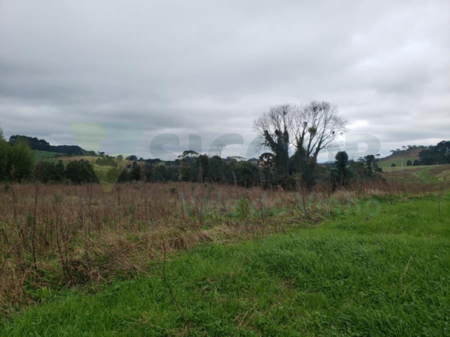 1 Terreno Rural com área total de 7,831 ha - FRAIBURGO/SC — foto 2