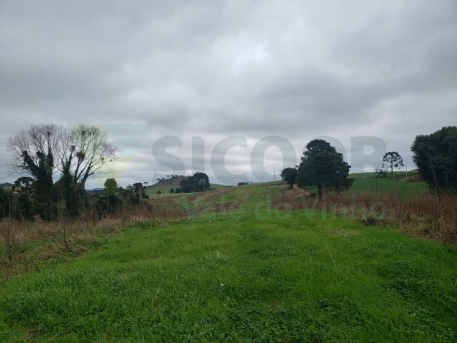 1 Terreno Rural com área total de 7,831 ha - FRAIBURGO/SC — foto 3