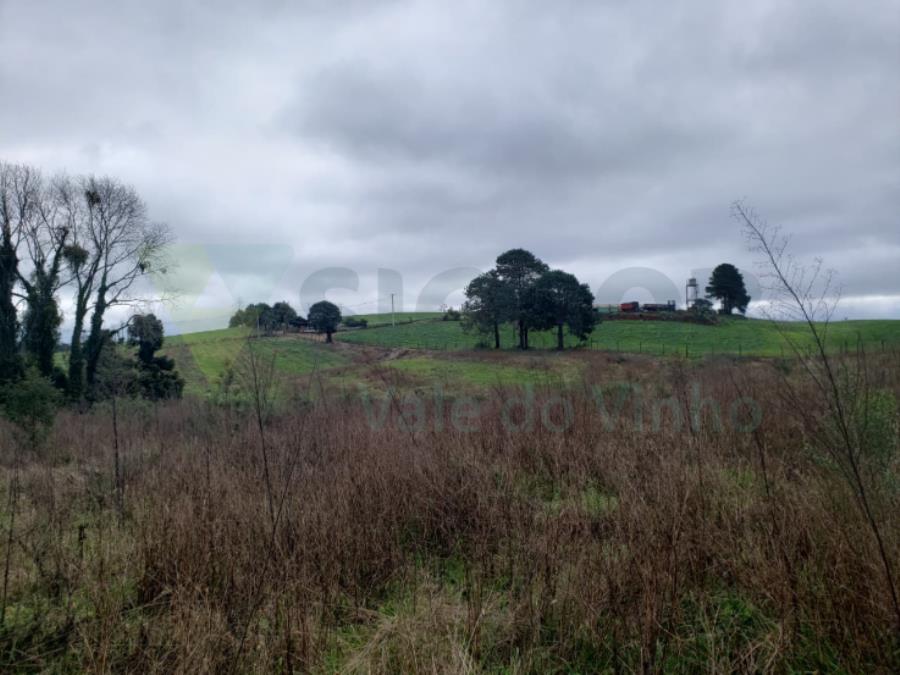 1 Terreno Rural com área total de 7,831 ha - FRAIBURGO/SC — foto 4