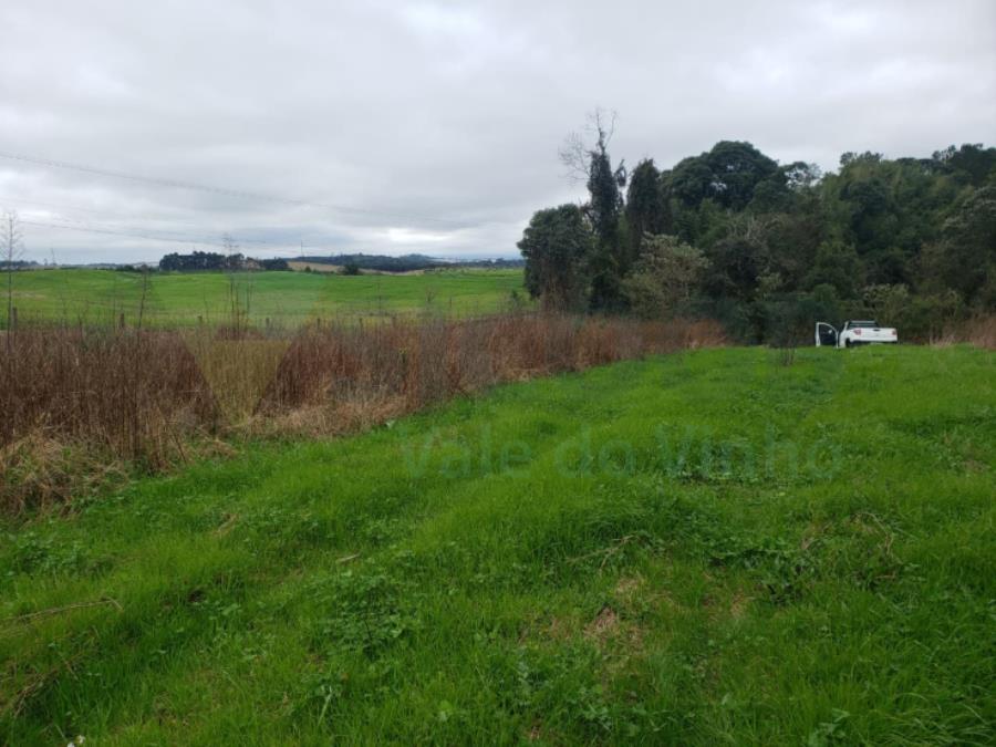 1 Terreno Rural com área total de 7,831 ha - FRAIBURGO/SC — foto 5