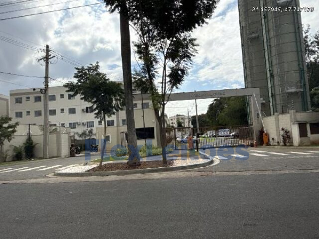 Apartamento - Jardim Ouro Branco - Ribeirao Preto/SP