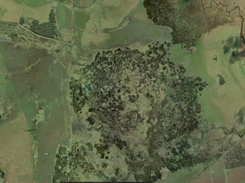 LOTE 001 Fração de Campo com 237 Hectares no Povo Novo em Rio Grande e próximo a Pelotas — foto 5