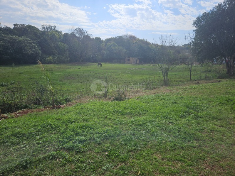 LOTE 028 Terreno de 4.652,00m² na Rua Soledade, Cruz Alta/RS — foto 2