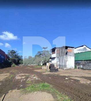Chico de Paula - Santos - SP - Terreno urbano - 2.310,00 m² — foto 4