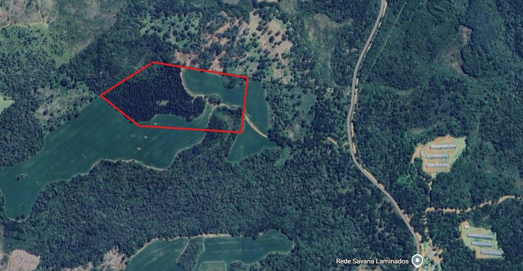 Imóvel Rural | 12,49 Hectares | Localidade Bananas | Guará | Guarapuava/PR