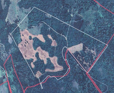 Fazenda Marrecas | 54,23 Hectares | Guairacá | Guarapuava/PR — foto 2