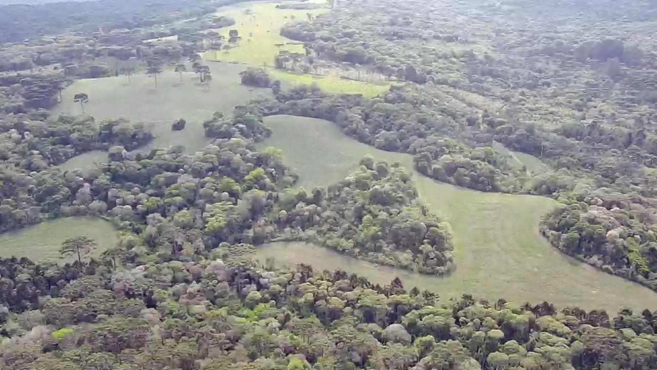 Fazenda Marrecas | 54,23 Hectares | Guairacá | Guarapuava/PR — foto 4