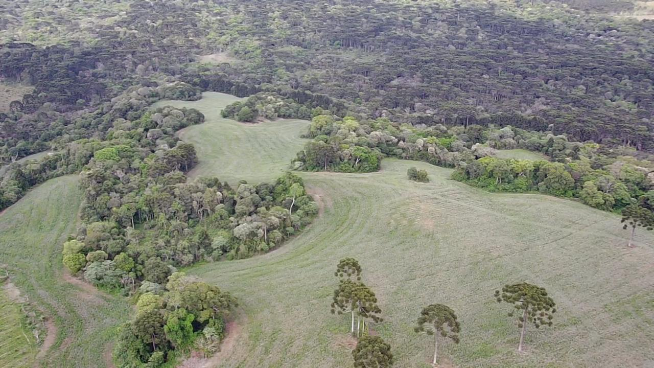 Fazenda Marrecas | 54,23 Hectares | Guairacá | Guarapuava/PR — foto 5