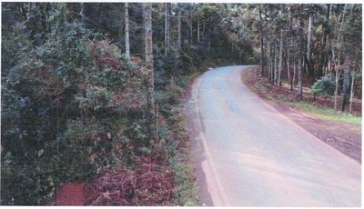 Terreno Rural com 39,1679 Hectares | Mato Dentro (Marrecas) | Guairacá | Guarapuava/PR — foto 2
