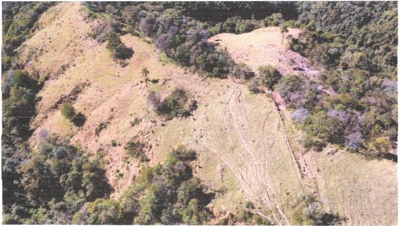 Área Rural com 47,36 Hectares Linha Herval Prudentópolis/PR — foto 3