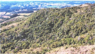 Área Rural com 47,36 Hectares Linha Herval Prudentópolis/PR — foto 4