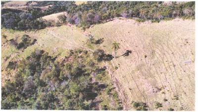 Área Rural com 47,36 Hectares Linha Herval Prudentópolis/PR — foto 5