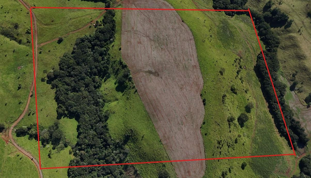 Área Rural com 21,56 ha em Pitanga/PR Região São José da Colônia Piquiri — foto 2