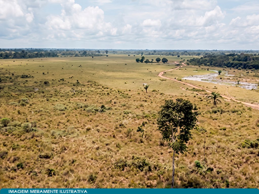 Imóvel Rural 21.780 m² (Fazenda) - Acará - PA — foto 2
