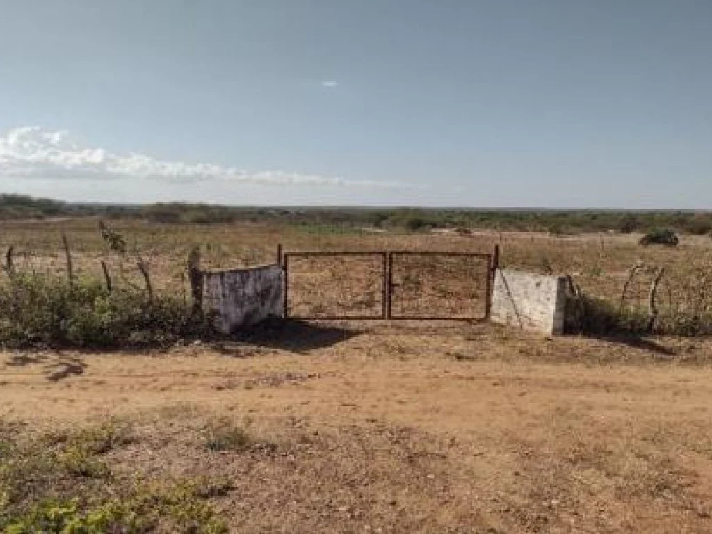 02 Lotes de Terreno com 205 m² (cada) - Alto da Colina - Ipanguaçu - RN