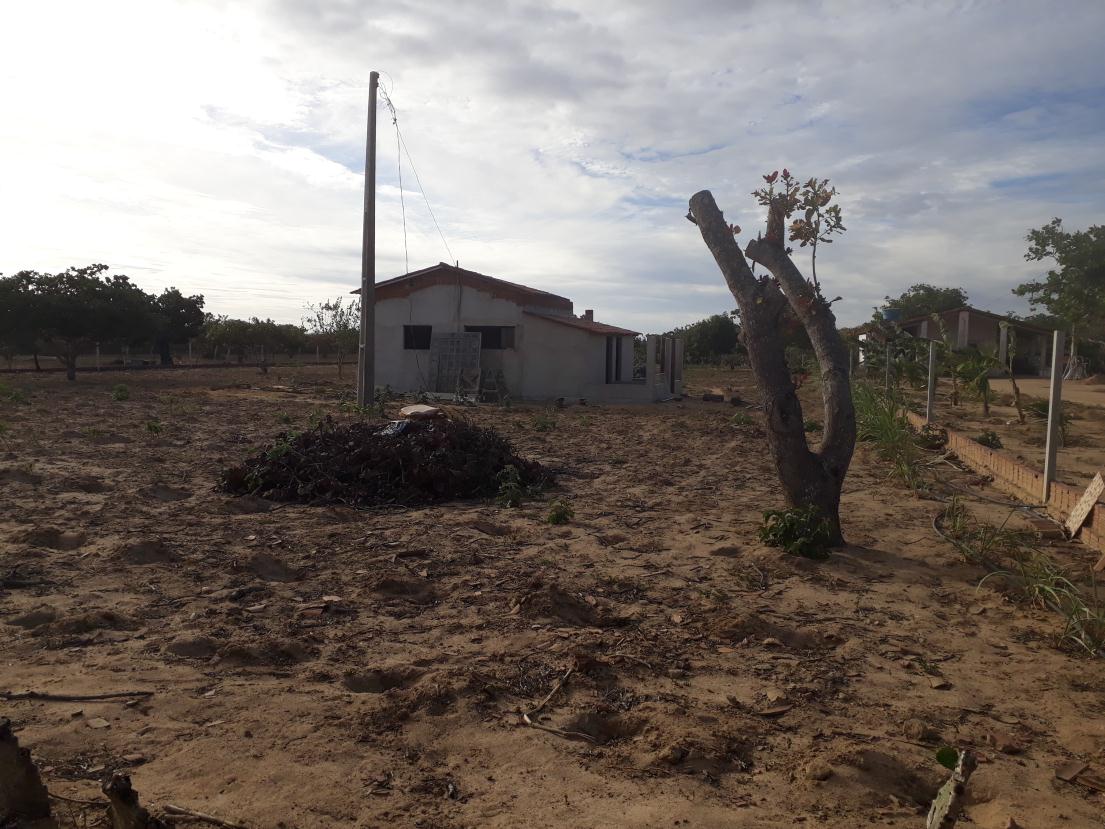 Uma Parte De Terra Localizada No Sitio Montevidéu, Zona Rural Do Município De Nova Floresta-pb, Medindo 01 Hectare, Distante Aproximadamente 1,1km Da Zona Urbana