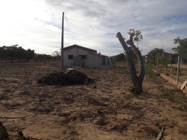 Uma Parte De Terra Localizada No Sitio Montevidéu, Zona Rural Do Município De Nova Floresta-pb, Medindo 01 Hectare, Distante Aproximadamente 1,1km Da Zona Urbana — foto 2