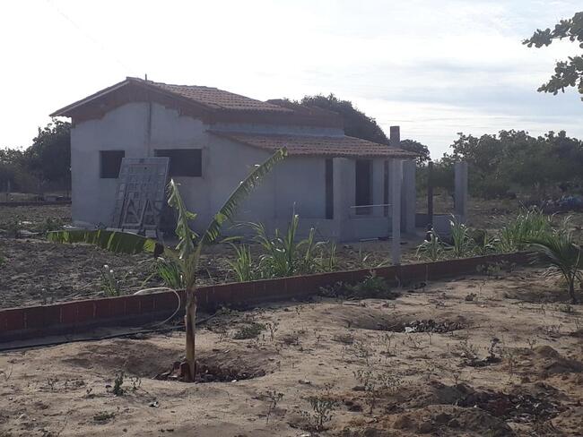 Uma Parte De Terra Localizada No Sitio Montevidéu, Zona Rural Do Município De Nova Floresta-pb, Medindo 01 Hectare, Distante Aproximadamente 1,1km Da Zona Urbana — foto 3
