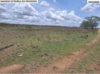 Sítio c/ 80,16 ha - Girau do Ponciano/AL — foto 4