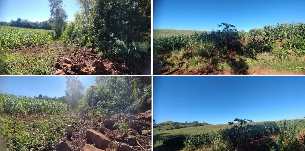 Parte Ideal (5%) Lote Rural com A.T. 84.000m², Município de Pérola DOeste/PR