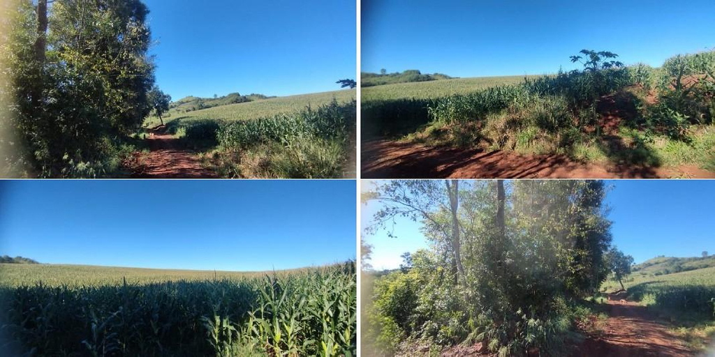 Parte Ideal (5%) Lote Rural com A.T. 84.000m², Município de Pérola DOeste/PR — foto 2