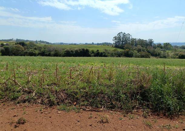 LOTE 12: Área Rural com 30.250,00 m² - Colônia Muquilão NOVA TEBAS PR