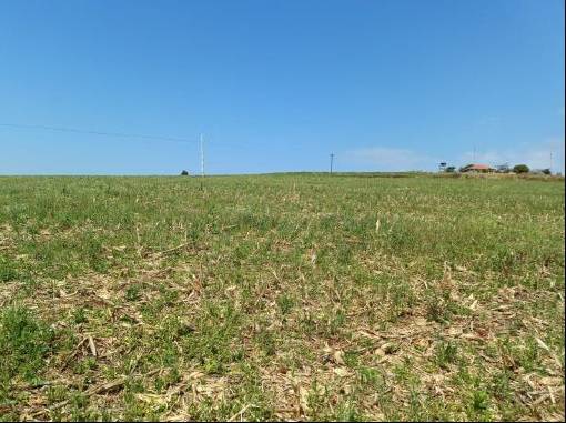 LOTE 12: Área Rural com 30.250,00 m² - Colônia Muquilão NOVA TEBAS PR — foto 2