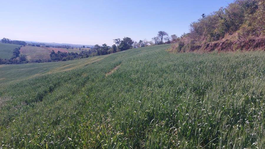 LOTE 13: Área Rural com 72.600,00 m² - Zona Rural NOVA TEBAS PR — foto 2