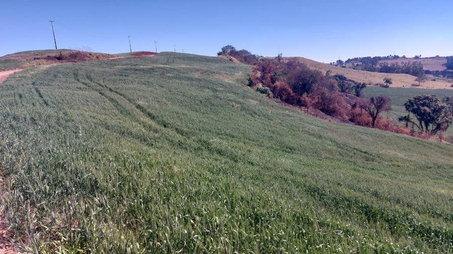 LOTE 13: Área Rural com 72.600,00 m² - Zona Rural NOVA TEBAS PR — foto 3