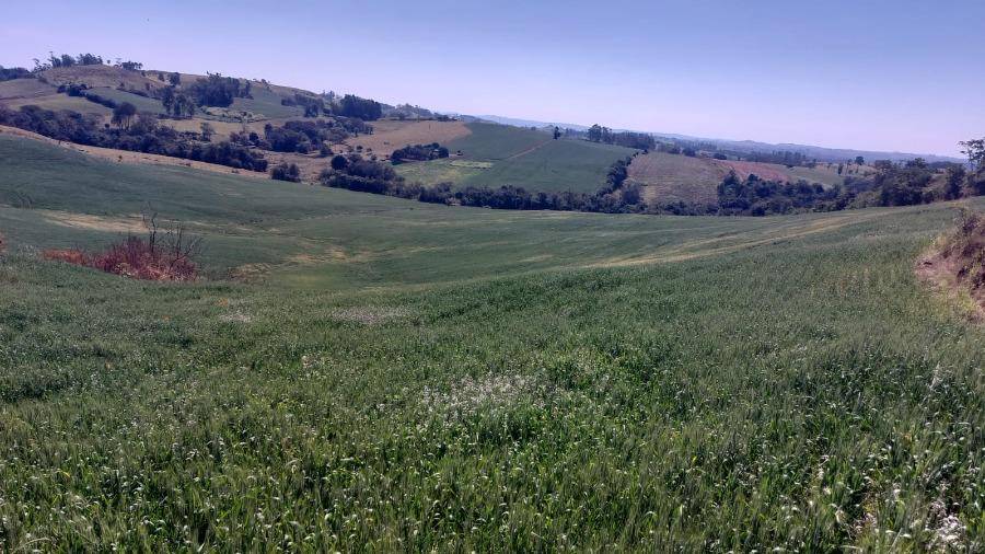 LOTE 14: Área Rural com 72.600,00 m² - Colônia Muquilão NOVA TEBAS PR