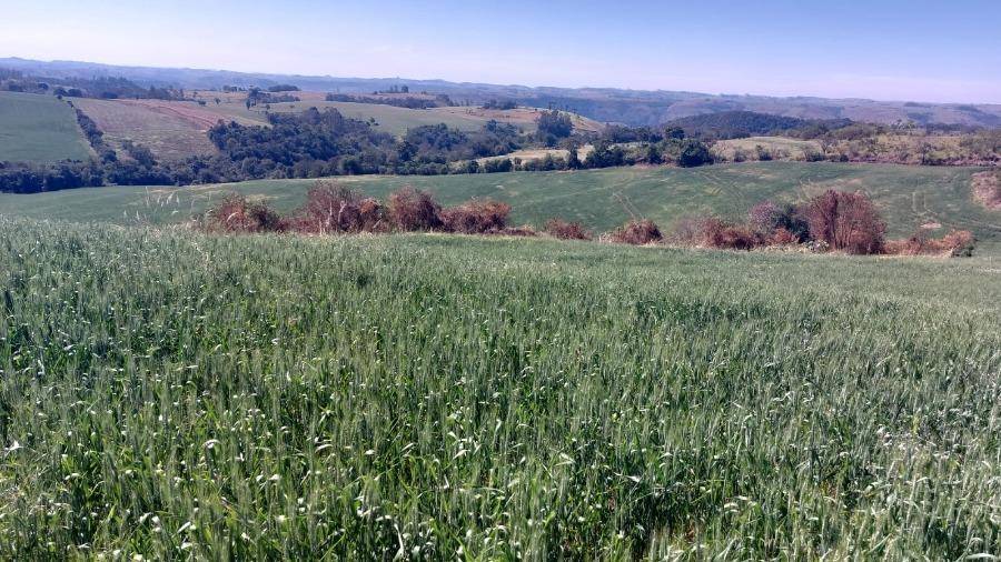 LOTE 14: Área Rural com 72.600,00 m² - Colônia Muquilão NOVA TEBAS PR — foto 3