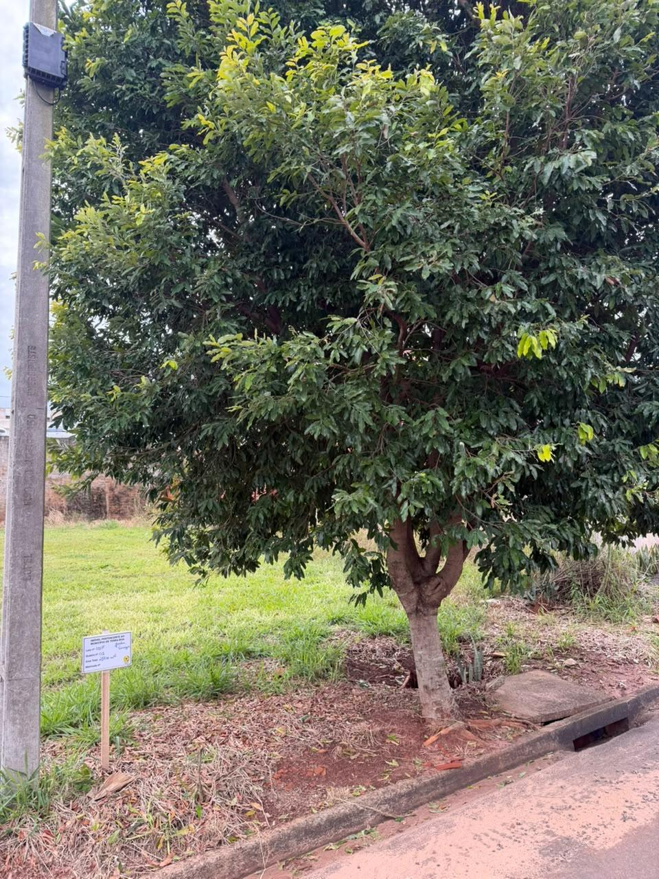 Imóvel urbano constituído pela Data de Terras nº 05/F, da Quadra nº 01, do Loteamento Residencial Veneza, situado no Município de Terra Boa, Estado do Paraná, com área total de 250,00 m². — foto 2