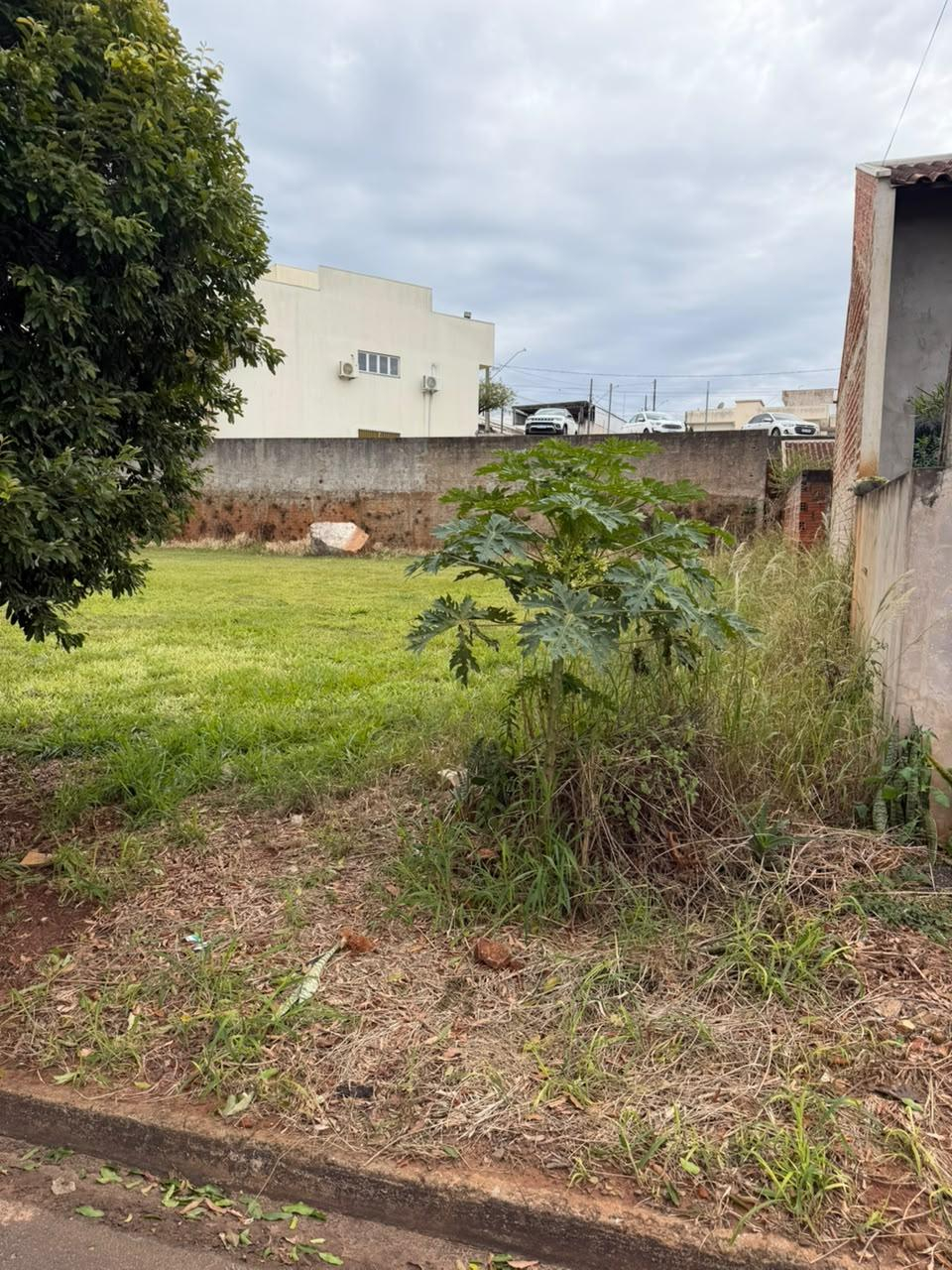 Imóvel urbano constituído pela Data de Terras nº 05/F, da Quadra nº 01, do Loteamento Residencial Veneza, situado no Município de Terra Boa, Estado do Paraná, com área total de 250,00 m². — foto 3