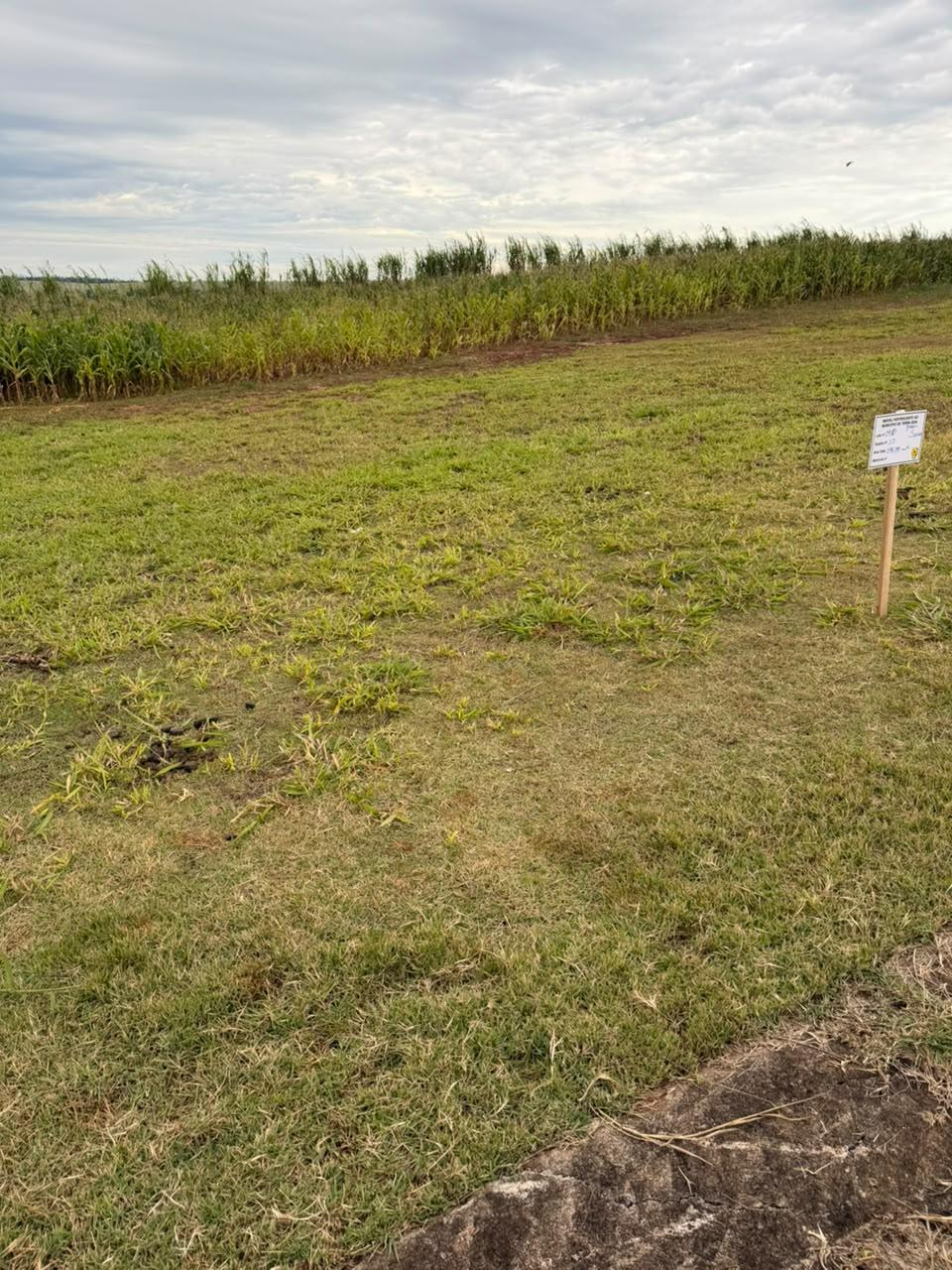 Imóvel urbano constituído pela Data de Terras nº 09/C, da Quadra nº 10, do Loteamento Jardim Sena, situado no Município de Terra Boa, Estado do Paraná, com área total de 198,79 m². — foto 2