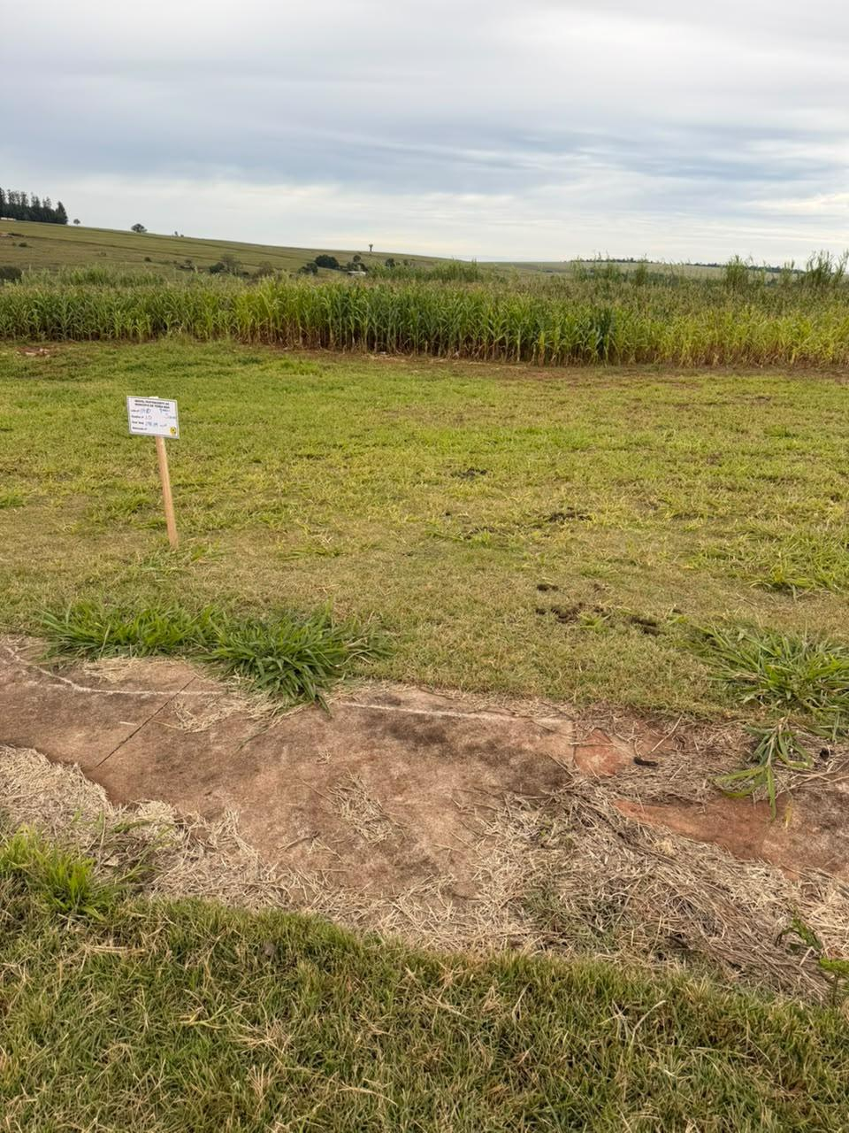 Imóvel urbano constituído pela Data de Terras nº 09/C, da Quadra nº 10, do Loteamento Jardim Sena, situado no Município de Terra Boa, Estado do Paraná, com área total de 198,79 m². — foto 3