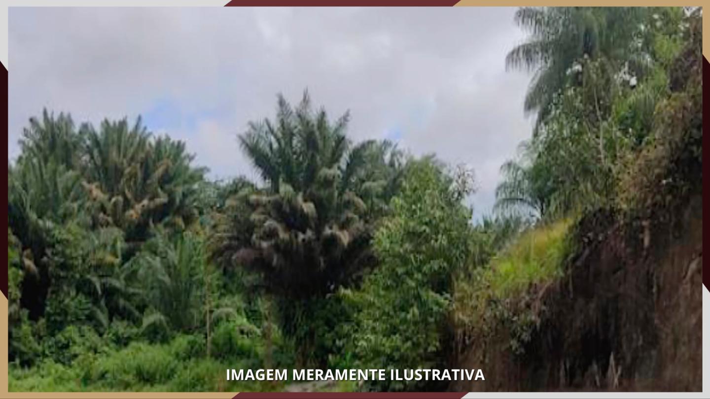 Imóvel Rural, denominado Gleba nº 04, da 2ª parte do antigo Engenho Manassú e suas benfeitorias, com área de 61,7200 hectares, Jaboatão dos Guararapes/ PE