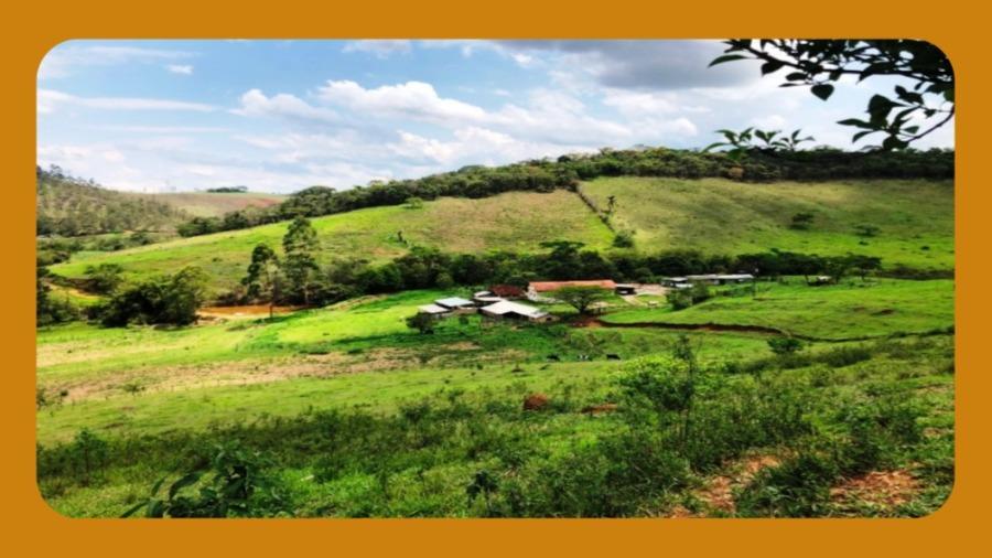 Imóvel Rural Denominado Fazenda Bela Vista, em São Martinho, 3º Distrito de Campos dos Goytacazes/rj, com 212,29 Alqueires, Matriculado no Registro de Imóveis da 8.ª Circunscrição Territorial, no Livro 3-i, Às Fls. 71, Sob o Número 11.622.--