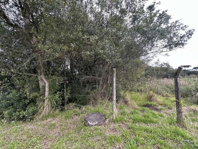 Terreno com 588.00 m² em Colombo