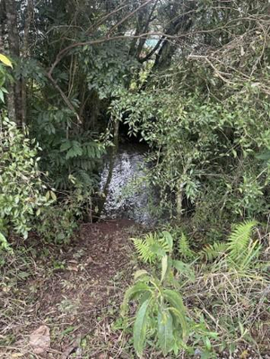 Terreno com 588.00 m² em Colombo — foto 2