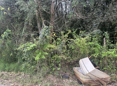 Terreno com 588.00 m² em Colombo — foto 4
